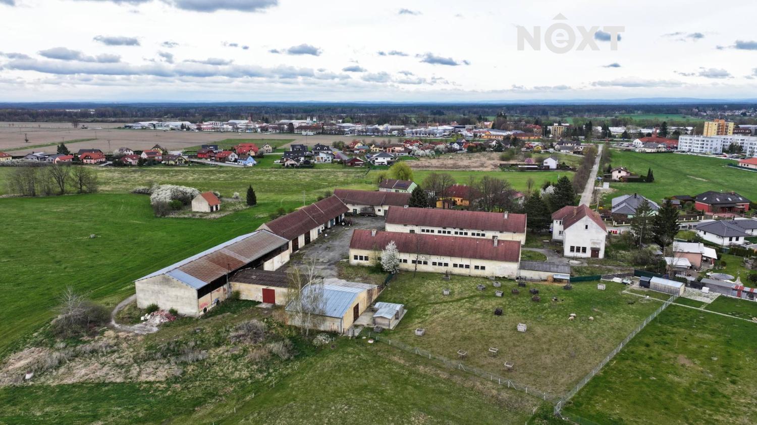 dji-20250416132659-0321-d.1745395869.jpg