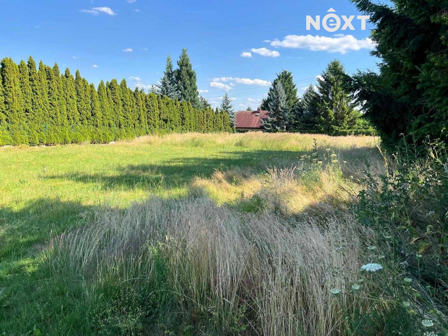 mzqk4159.1753258485.jpg