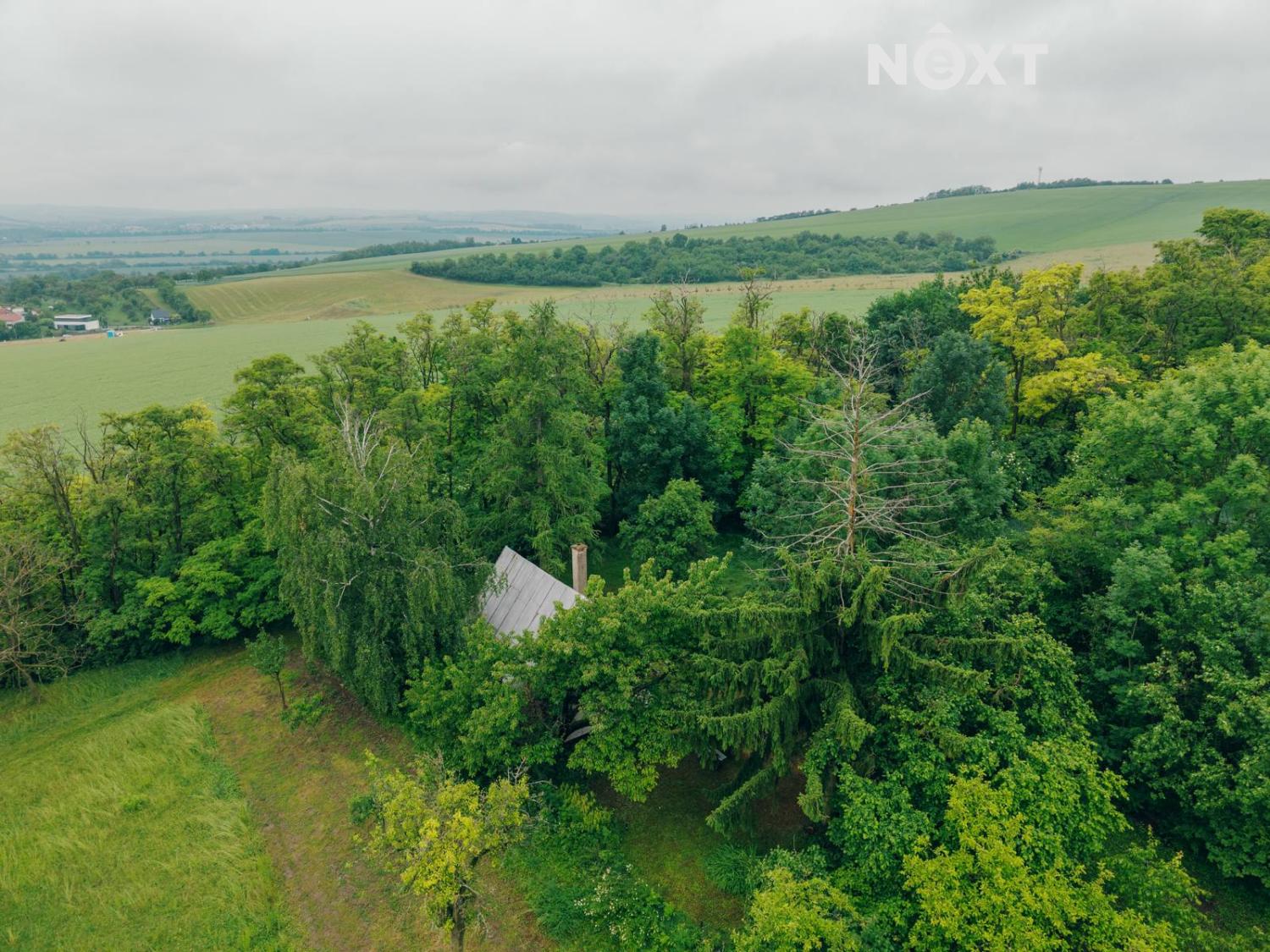 dji-20250603100433-0921-d.1749836979.jpg