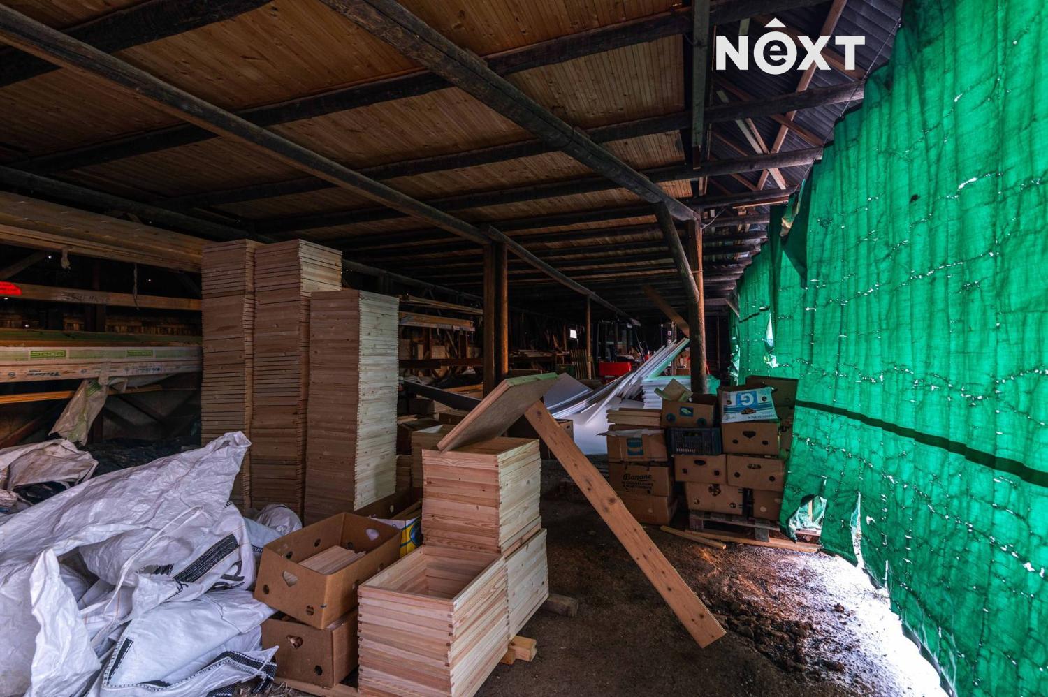 9a26c762-2d75-4a17-8c02-6845055de814.1767610749.jp