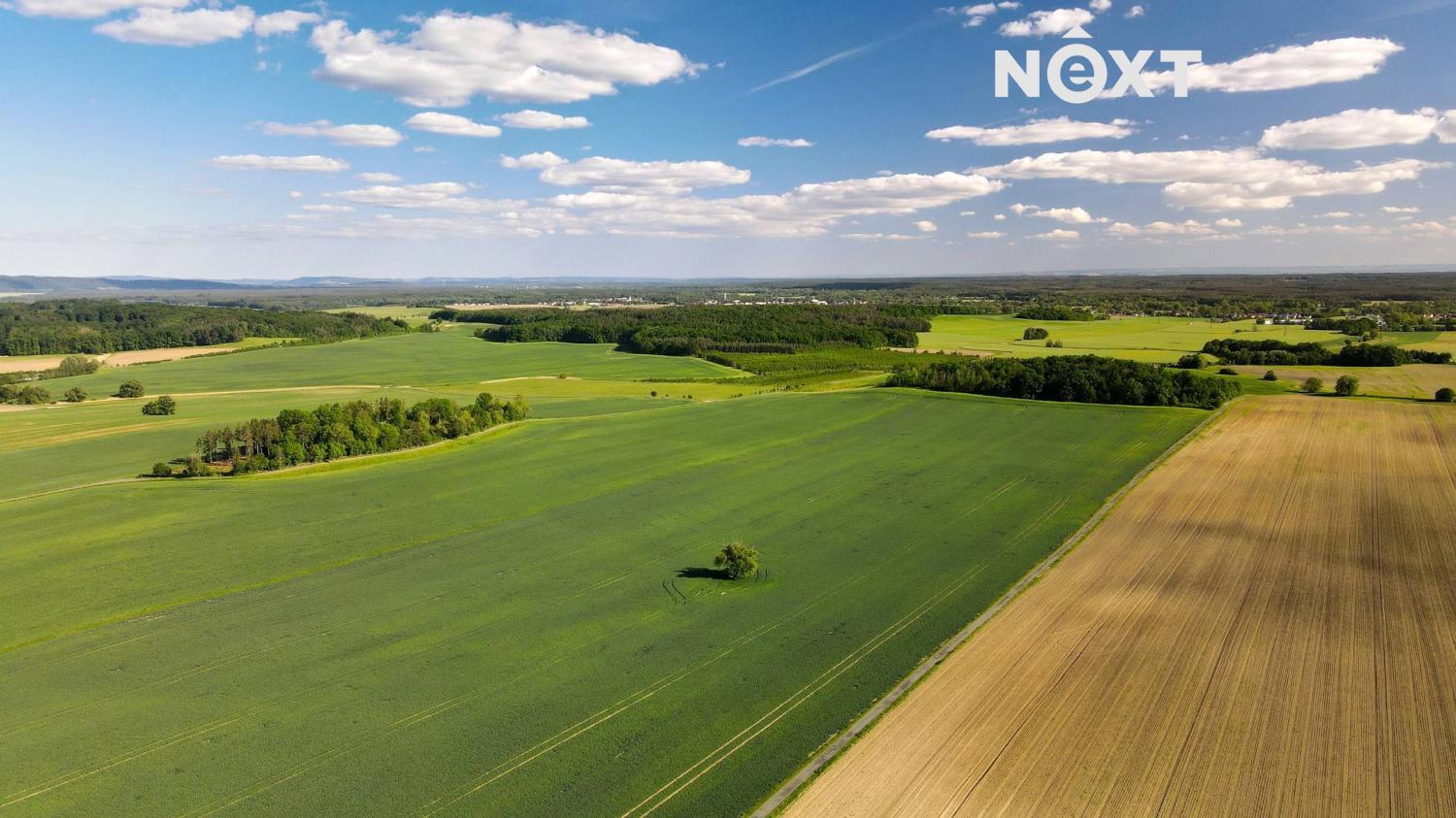 dji-0263.1715802352.jpg