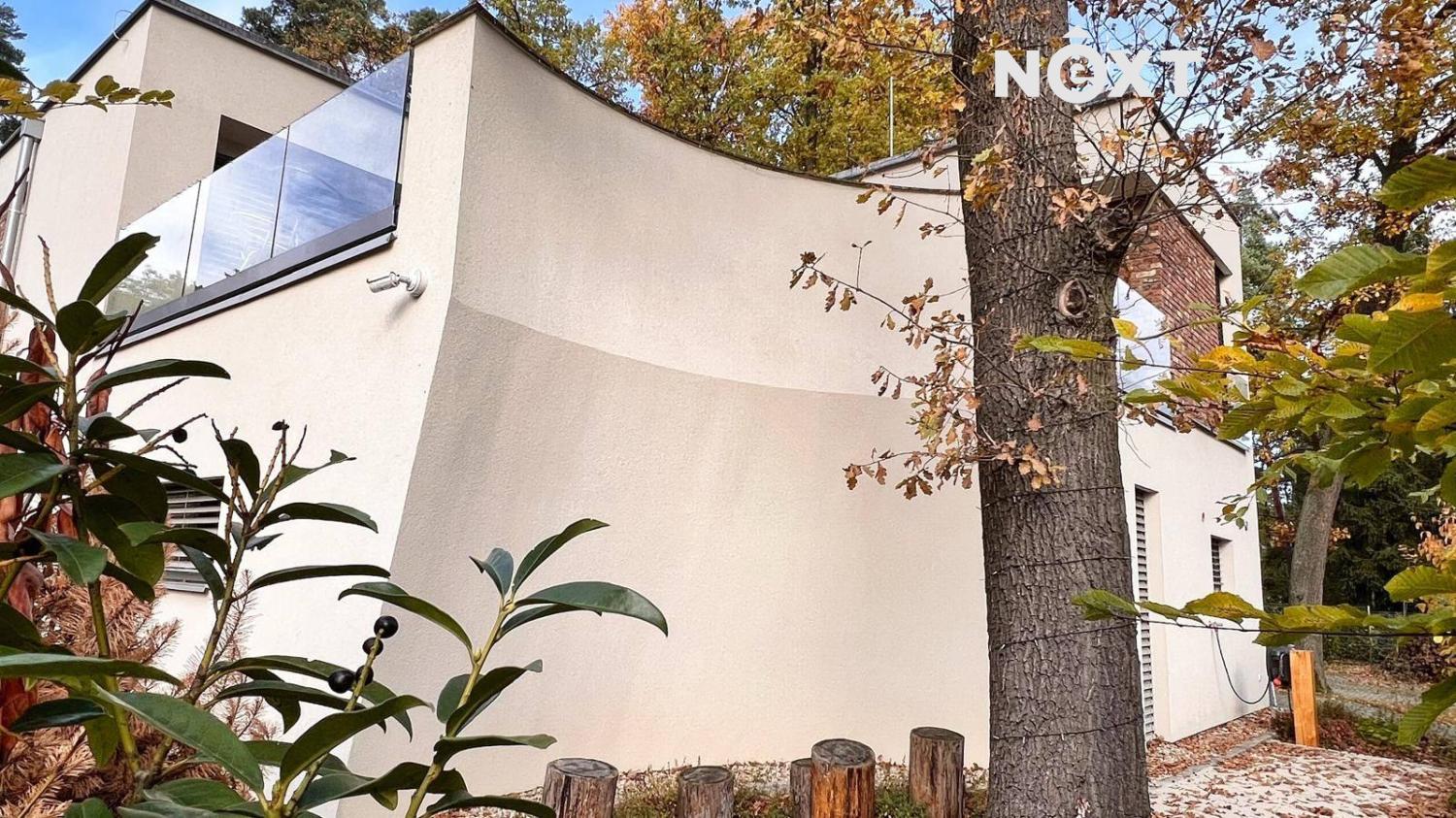 whatsapp-image-2025-11-16-at-17.49.40-1-.176367629