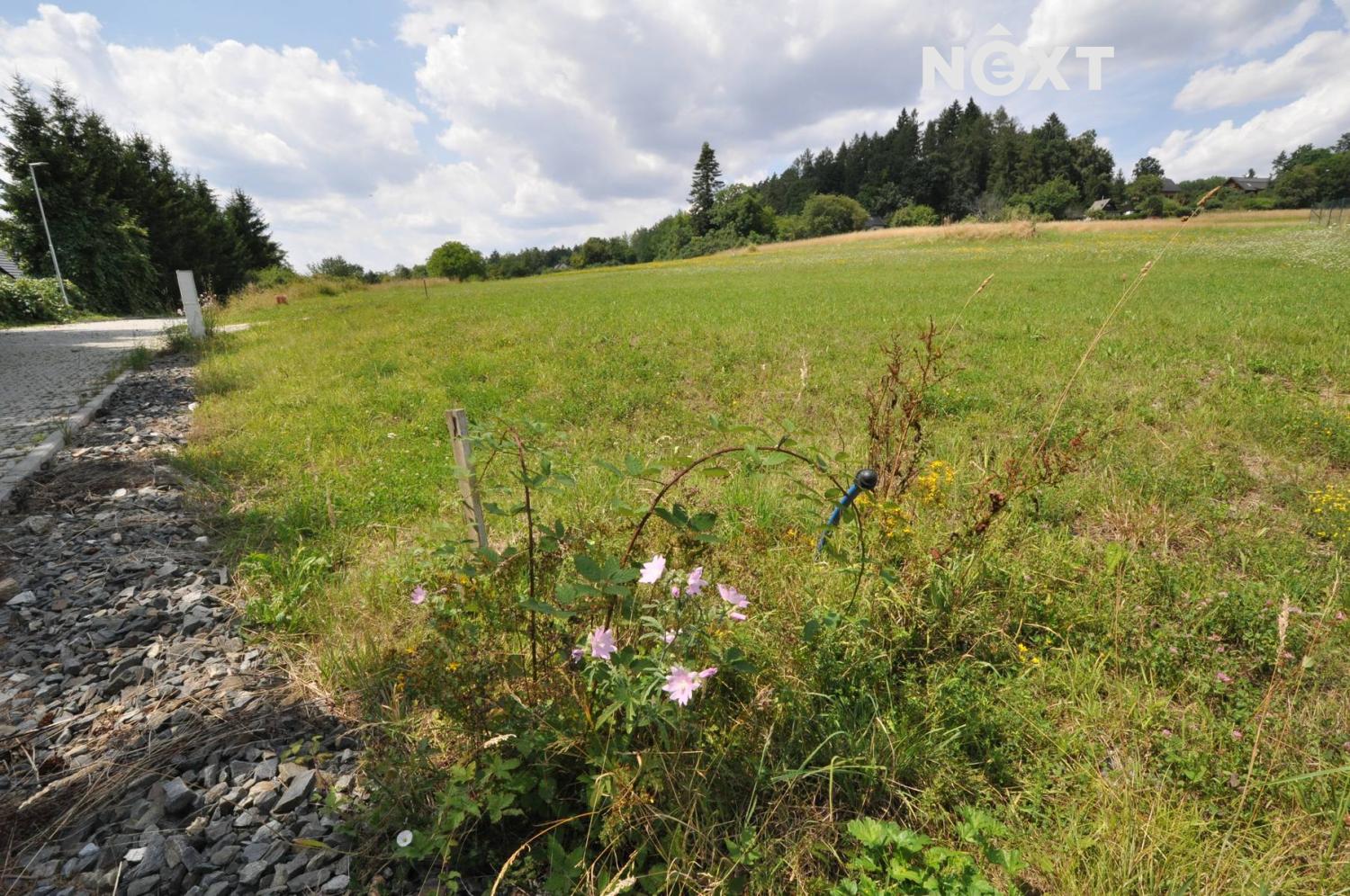 dsc-0867.1753038781.jpg