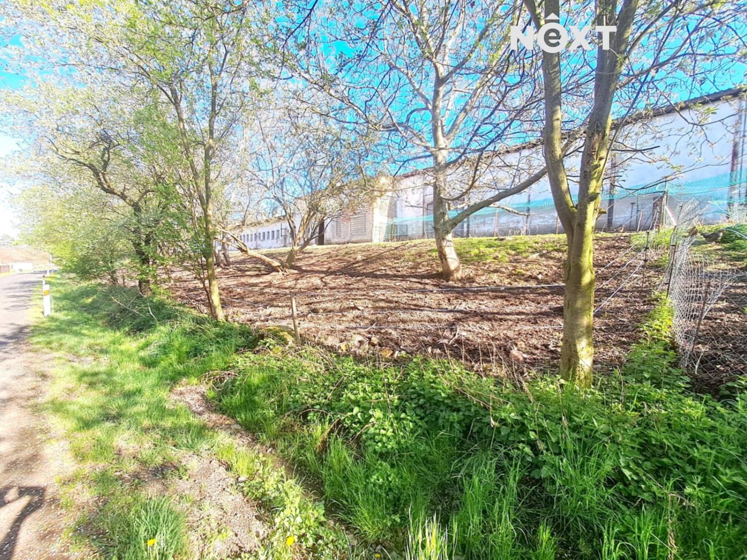 8f1879fb-d0ce-4c94-b9f6-1e38cc210ab4.1767963971.jp