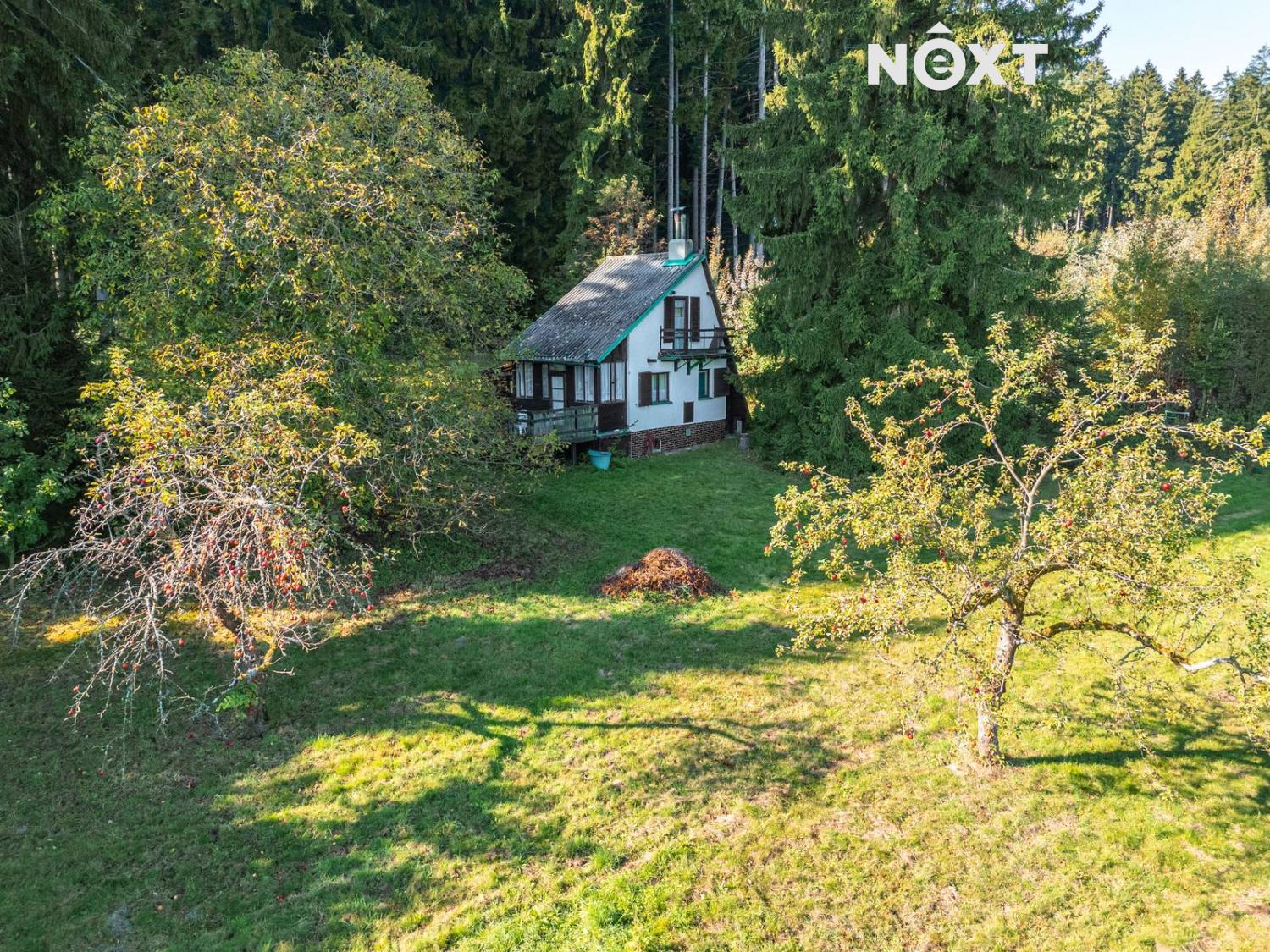 dji-20251003110037-0220-d.1760083930.jpg