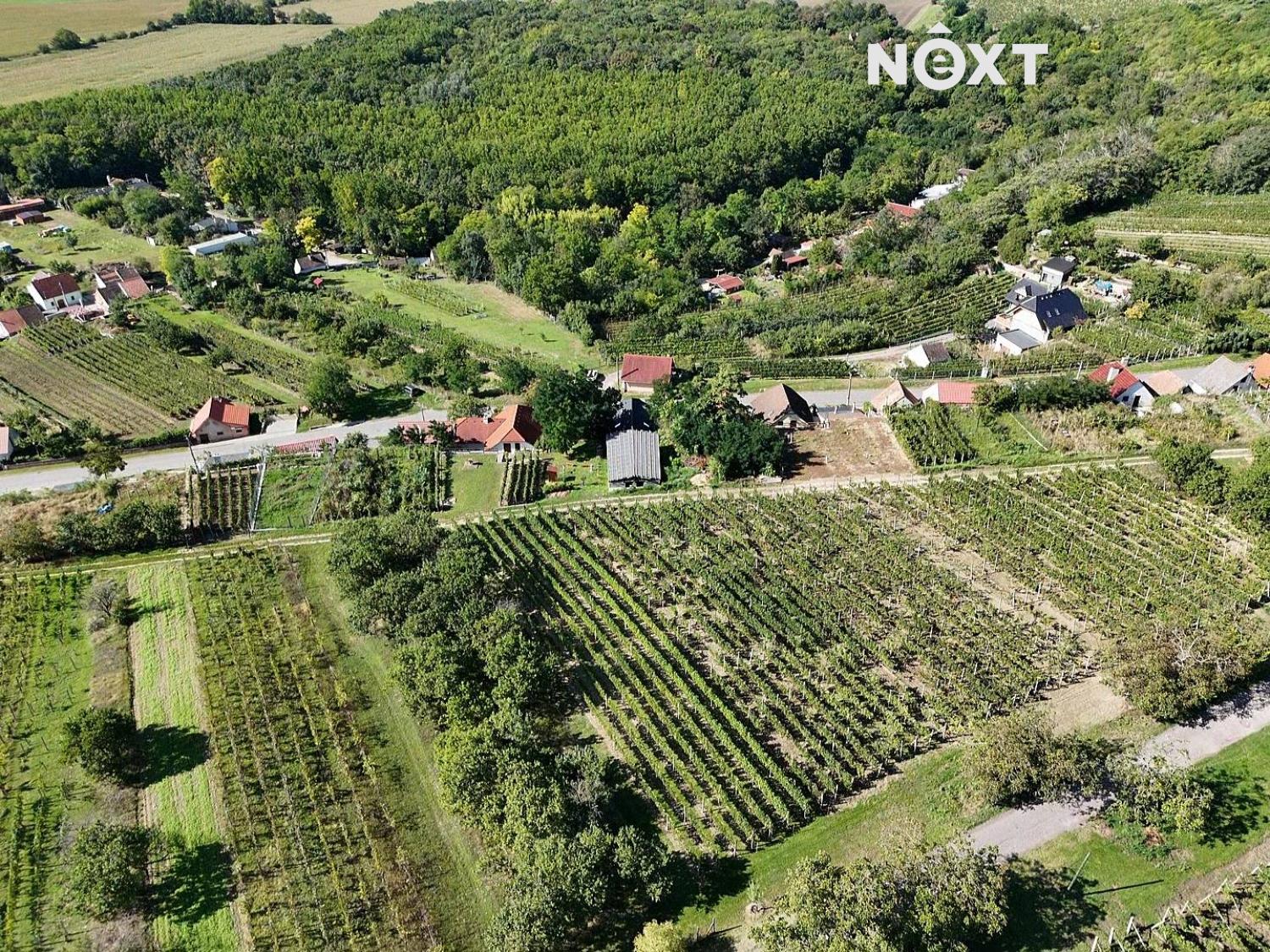 dji-fly-20250406-131747-0-1743938267452-photo-low-