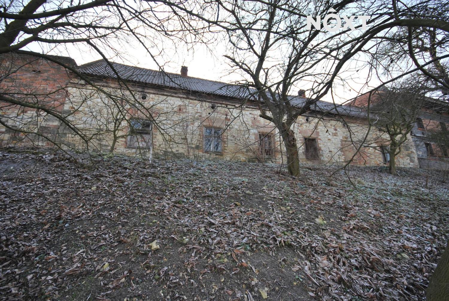 5c92503de8e1d.15530957.JPG