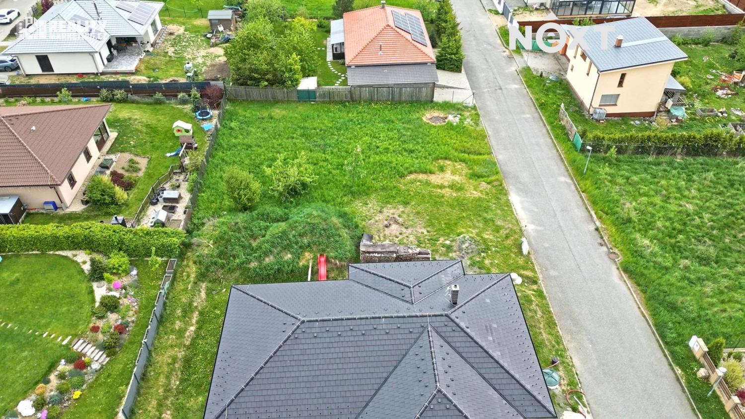 lipovec-12.1747916480.jpg