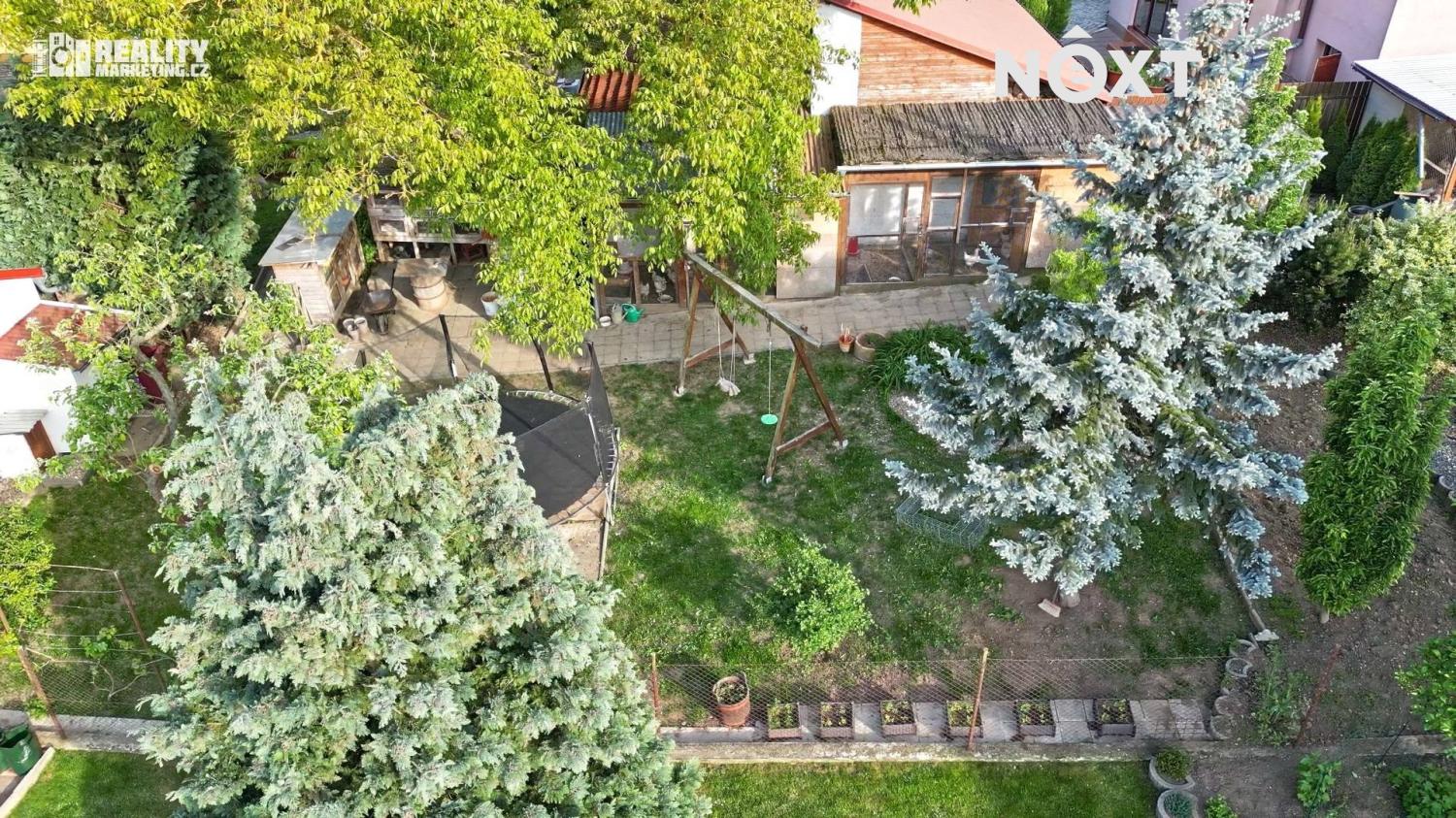 radostice-008.1749022557.jpg