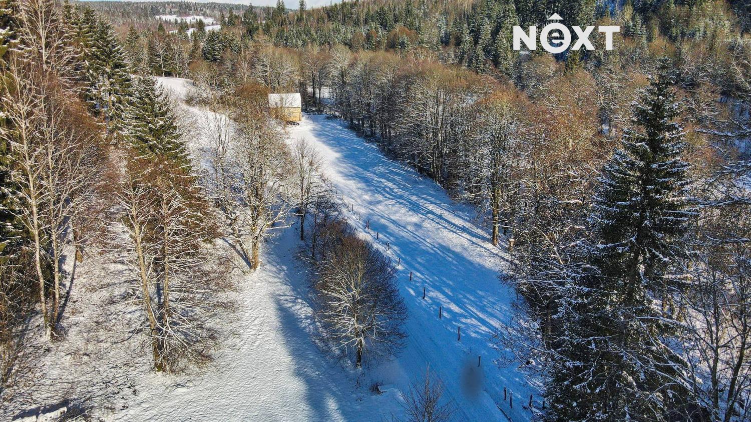 dji-0208.1733228708.jpg