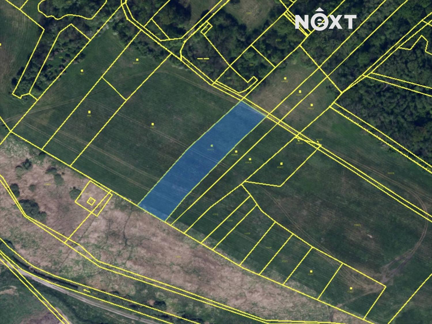 snimek-obrazovky-2025-06-27-v-16.00.10.1751033020.jpg