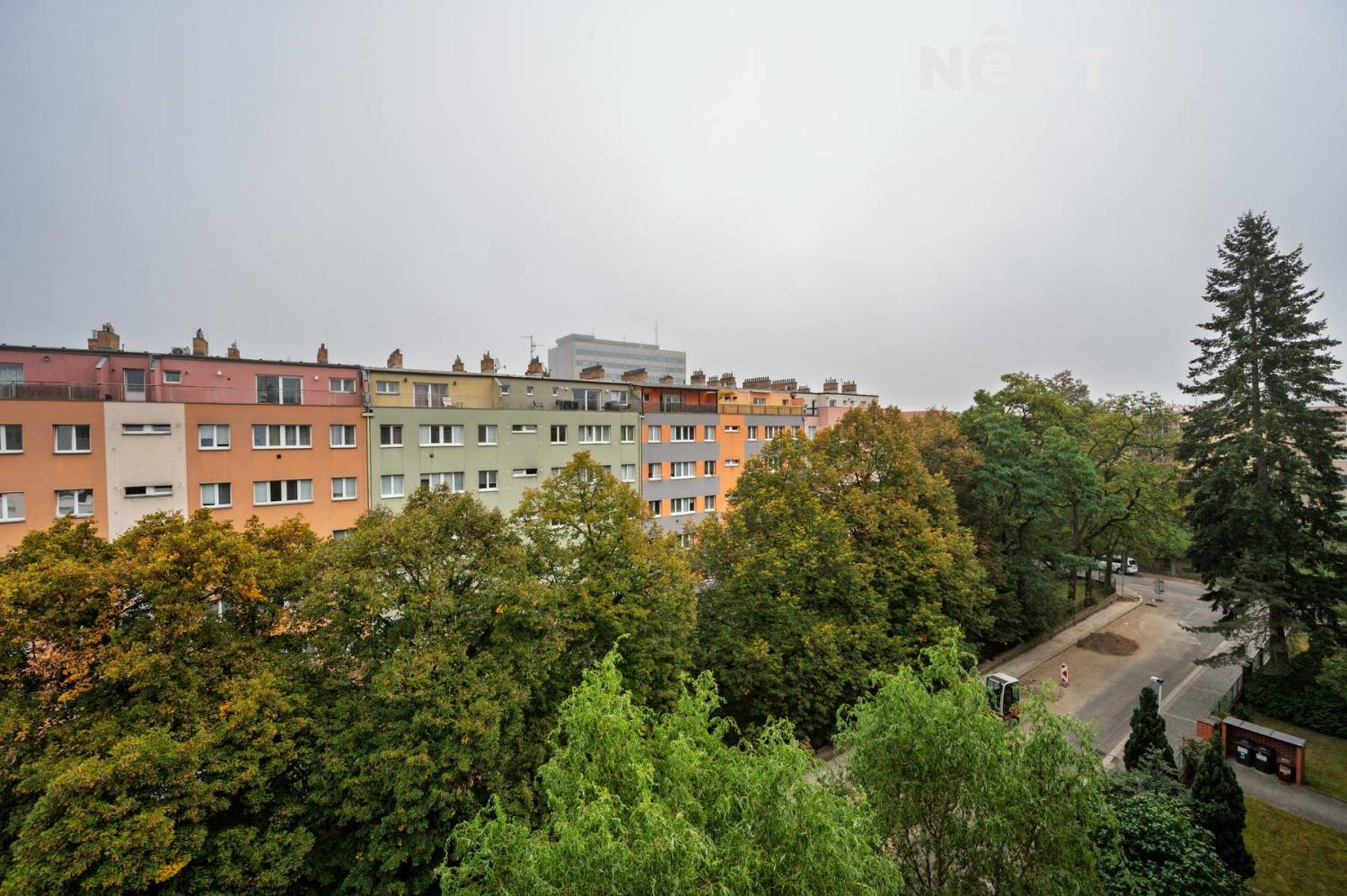 dsc-8181.1791898278.jpg