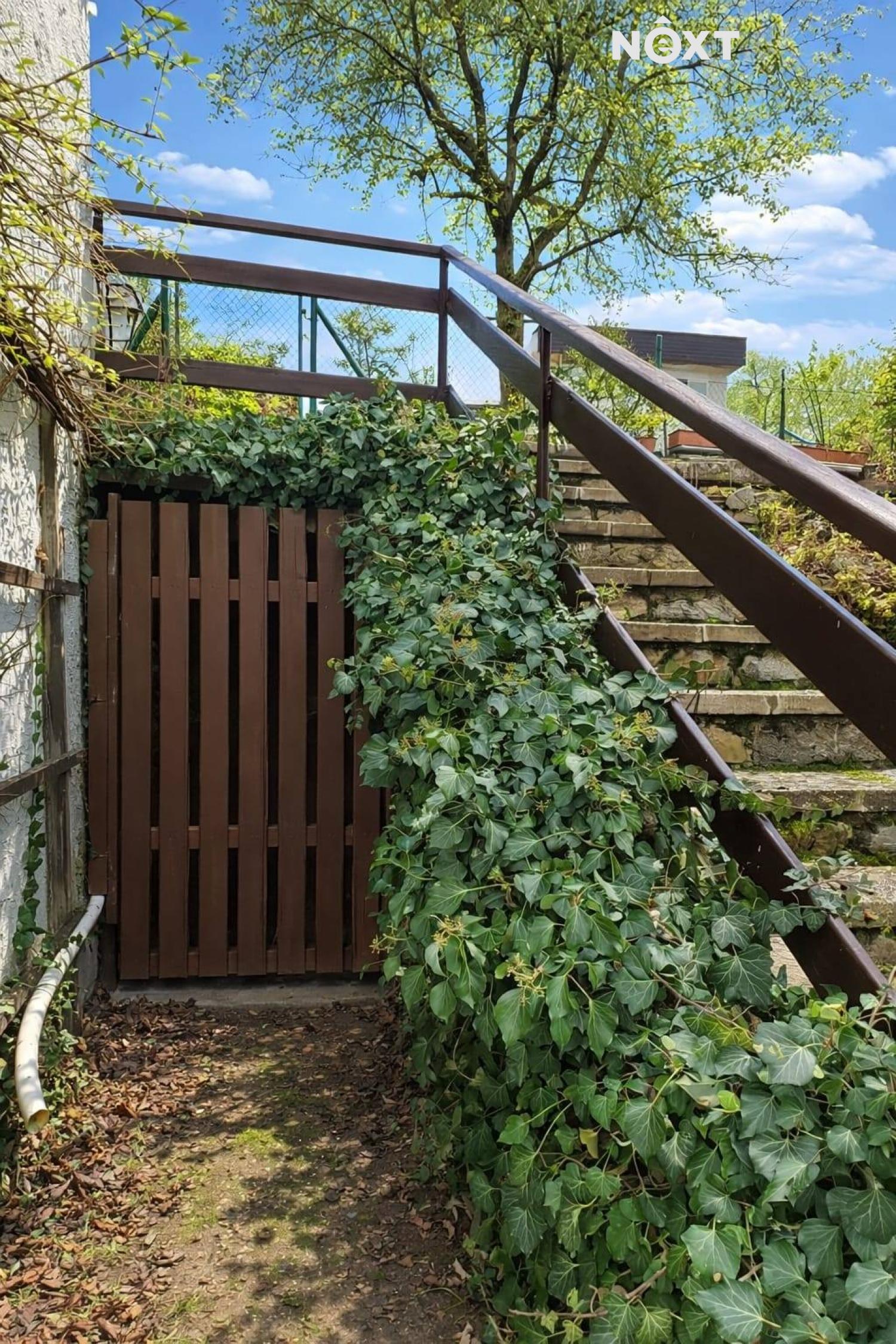 9e6e46fe-fc3b-46aa-8f54-e7b05ed20ab3.1774271988.jp