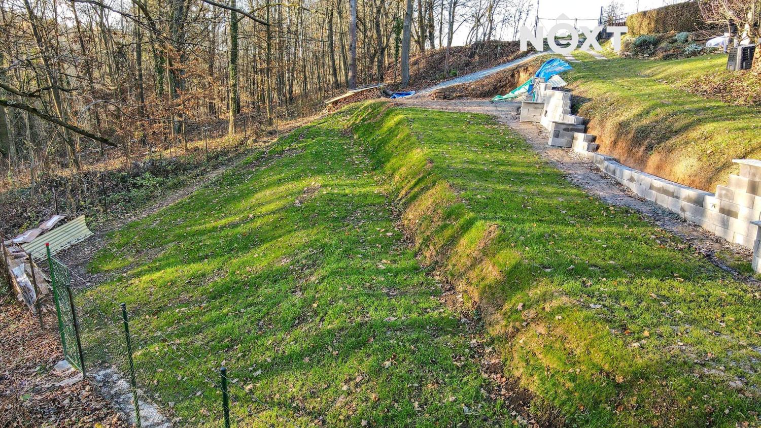dji-0291.1733142570.jpg