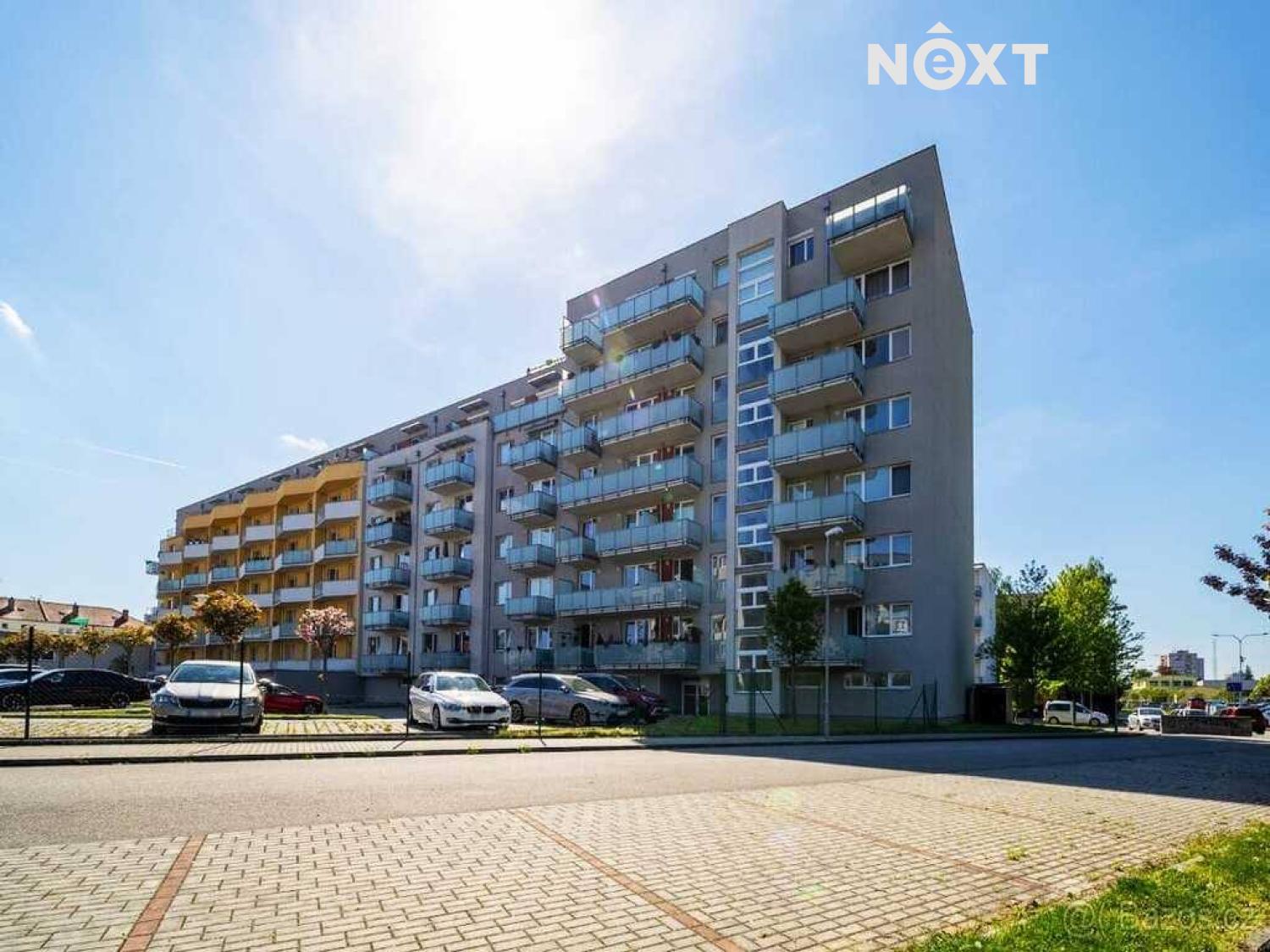 stepanik-1-1-.1747993449.jpg