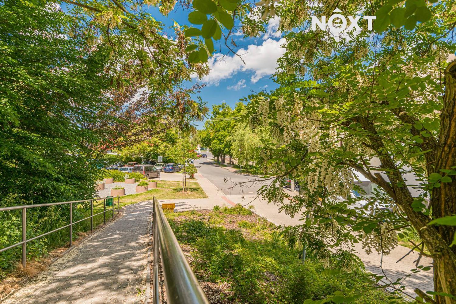 jinocany-18.1655734407.jpg