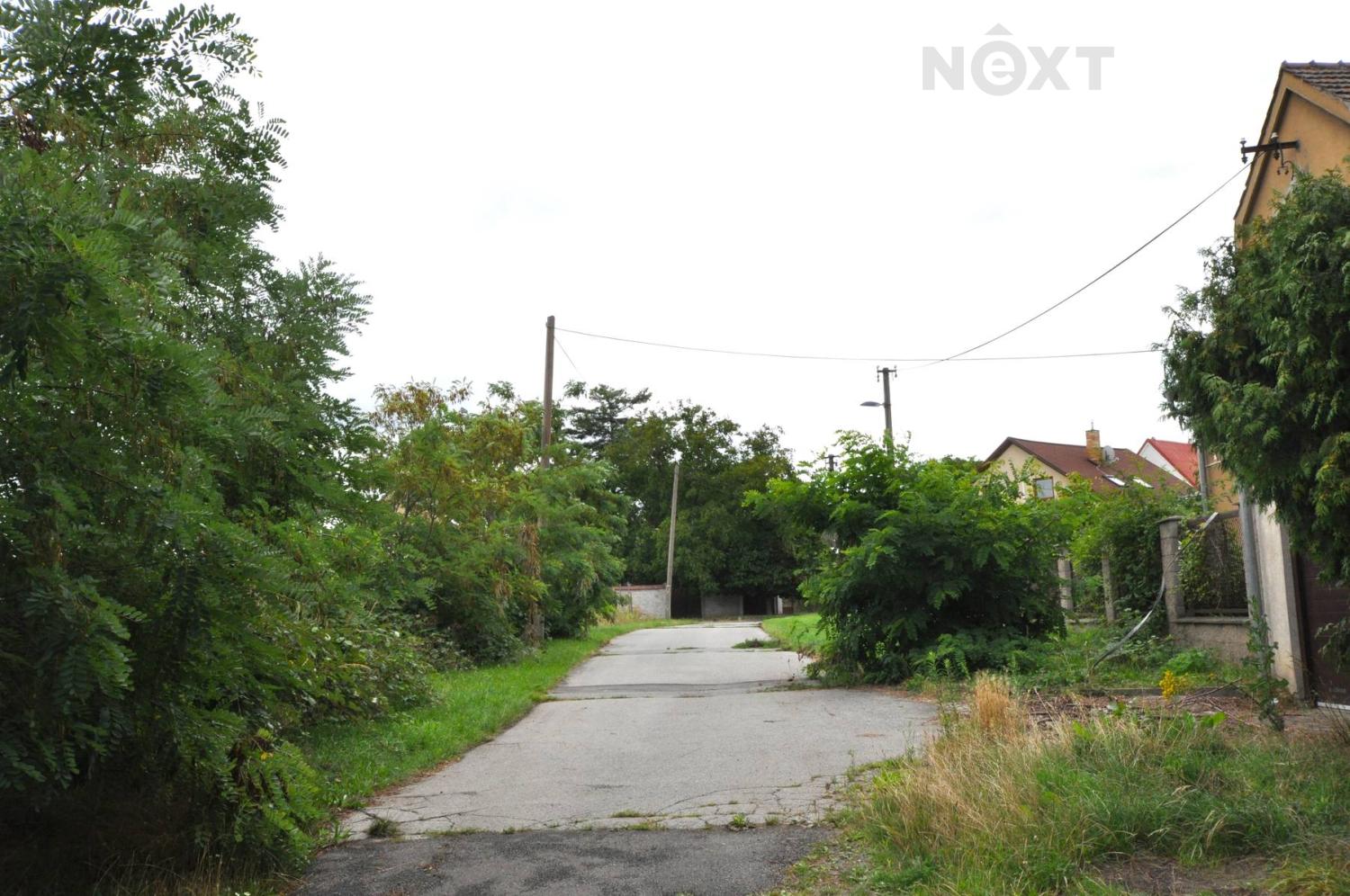 dsc-0892.1754294170.jpg