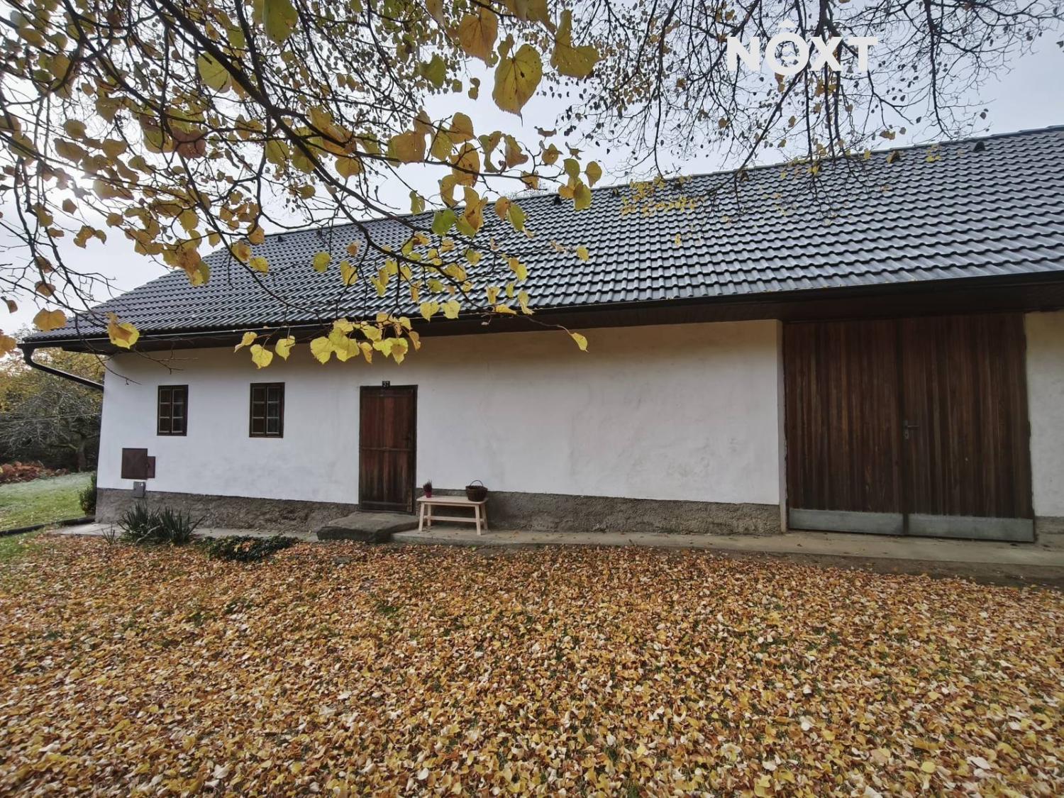 sklare-9.1792927642.jpg