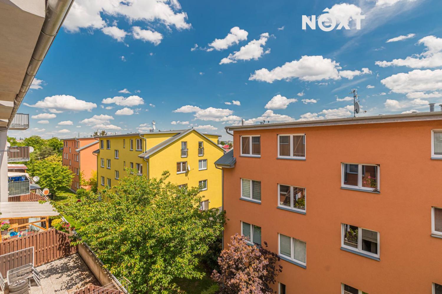 jinocany-43.1655735025.jpg