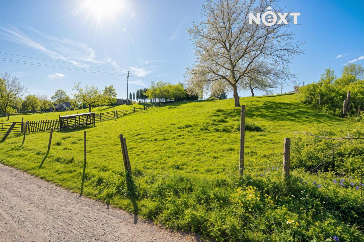 06aea2cb-caf4-4132-a6a6-08c14e2c4a22.1774347553.jp