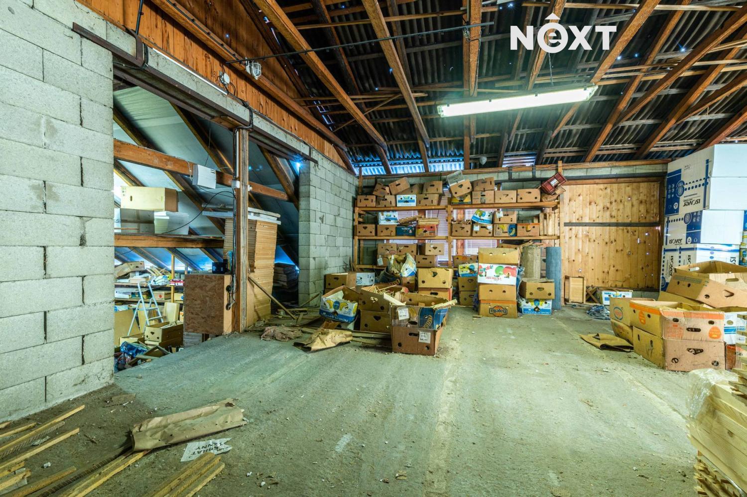 8de66c8a-49c7-4d7f-92c4-4e54bfd96389.1767610762.jp