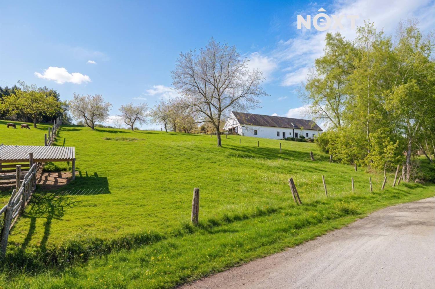 97ffab39-c822-43a7-99ea-b7f6ae889ada.1774347554.jp