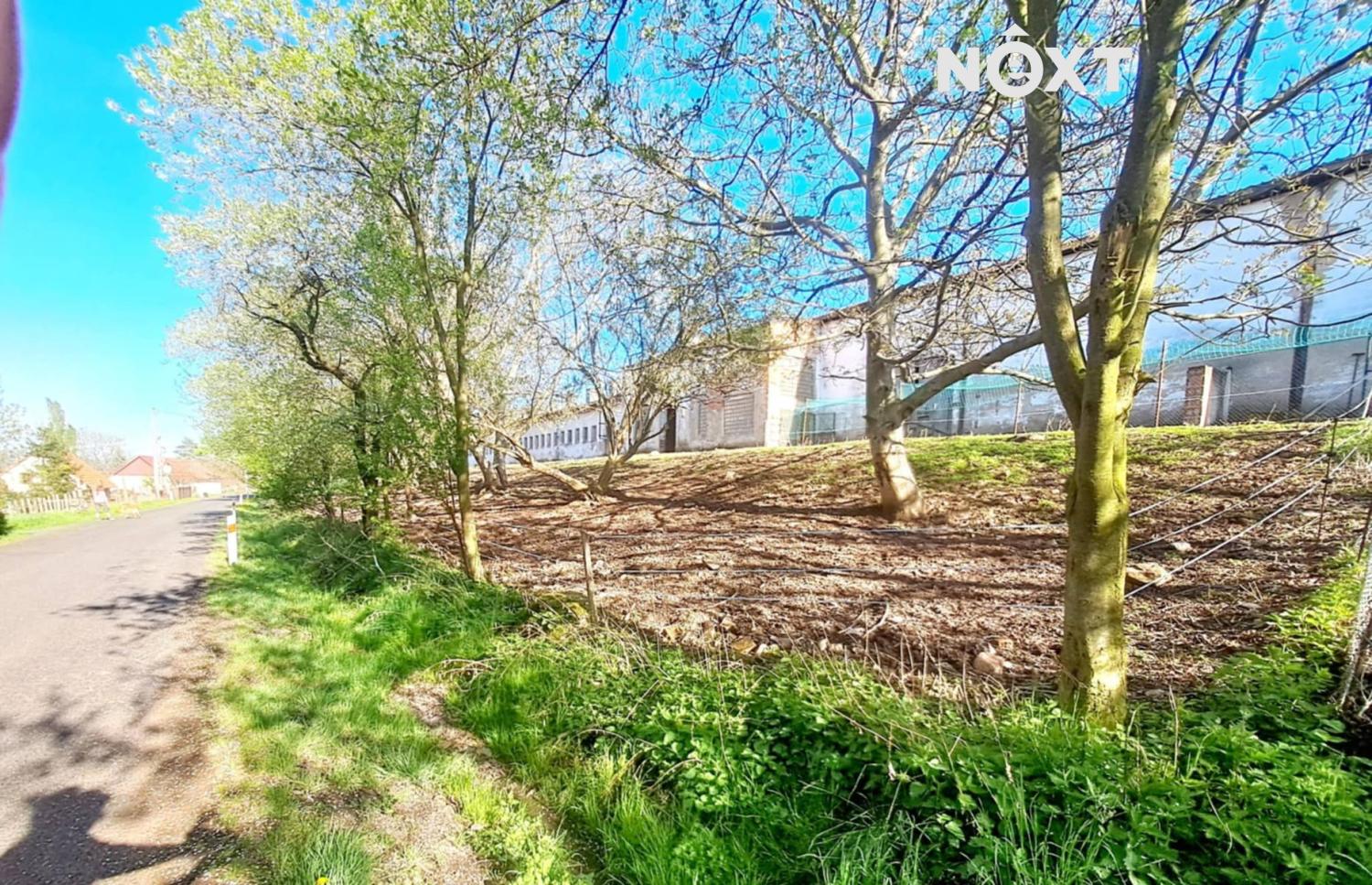 25cf8c65-4231-4bdc-9bff-117ba58a0e8d.1767963970.jp