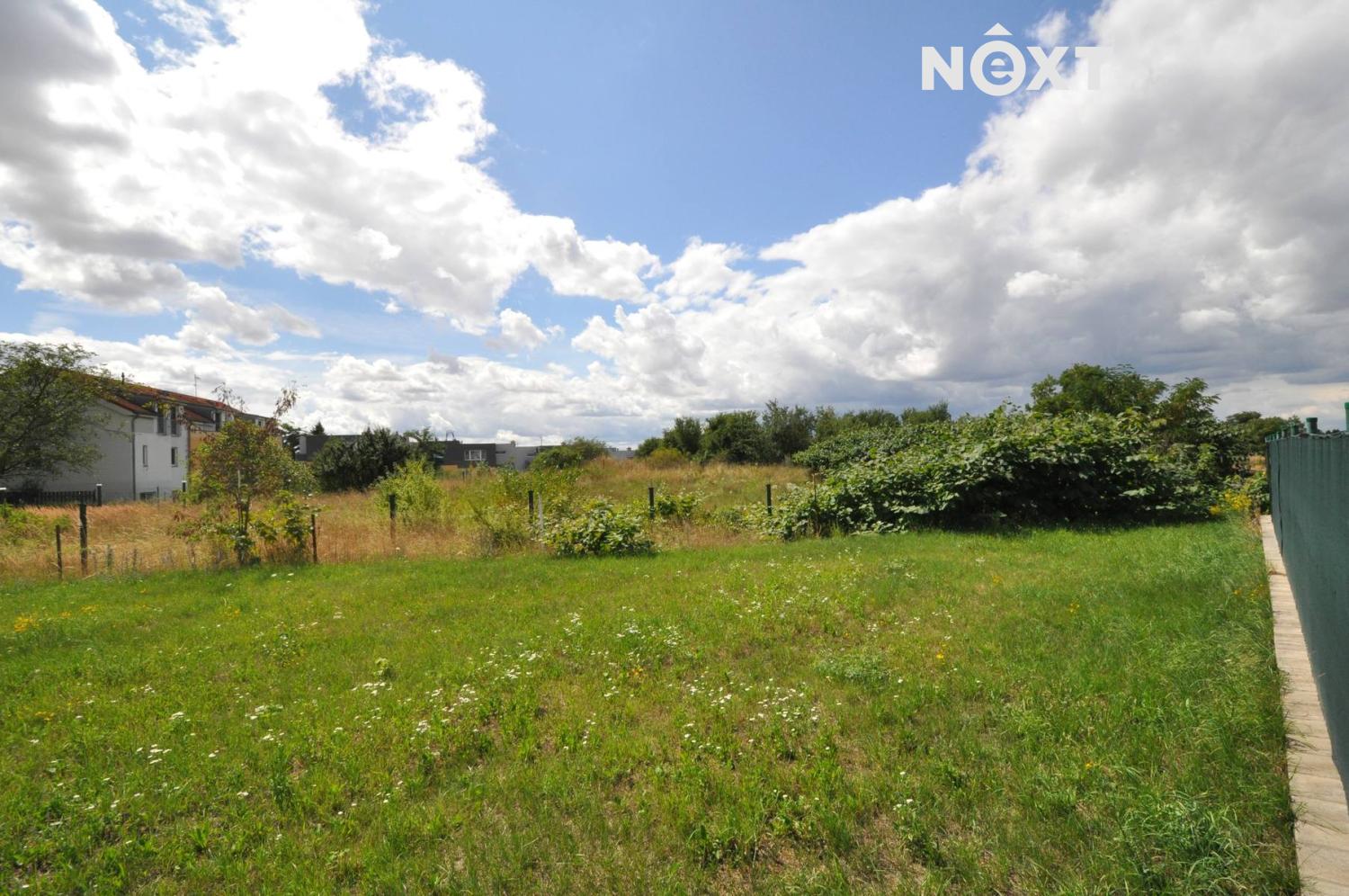 dsc-0906.1754294195.jpg