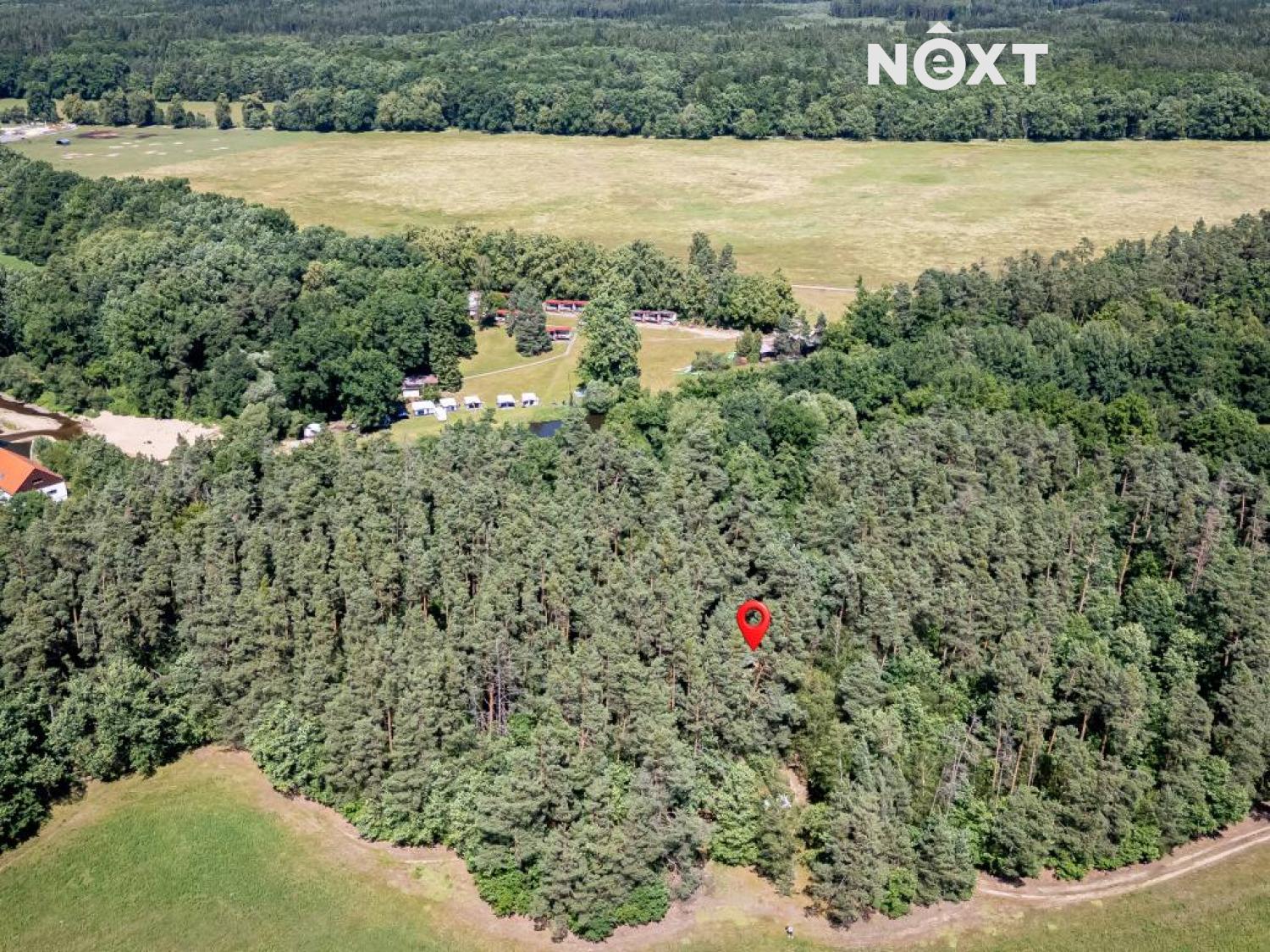 dji-0905.1750923267.jpg