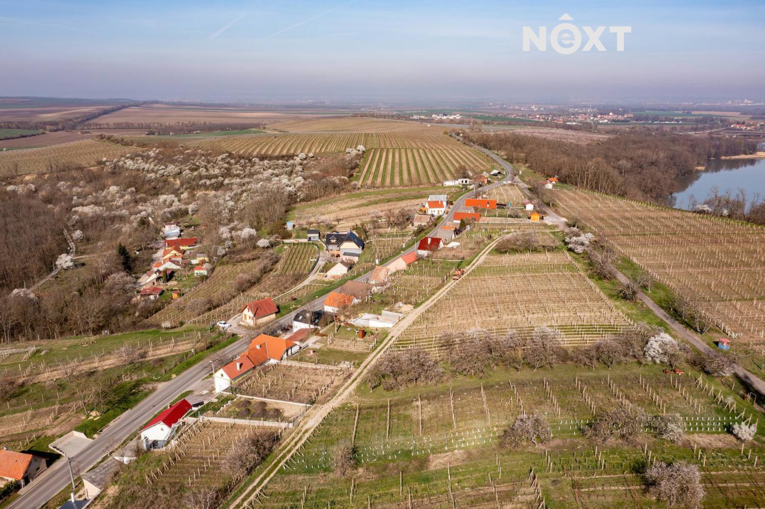 dji-0721-enhanced-nr.1710963034.jpg