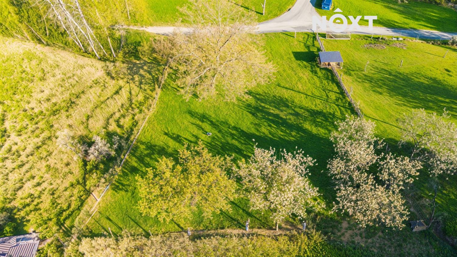 4db89979-f1f0-4268-953e-df337e112fee.1774347551.jp