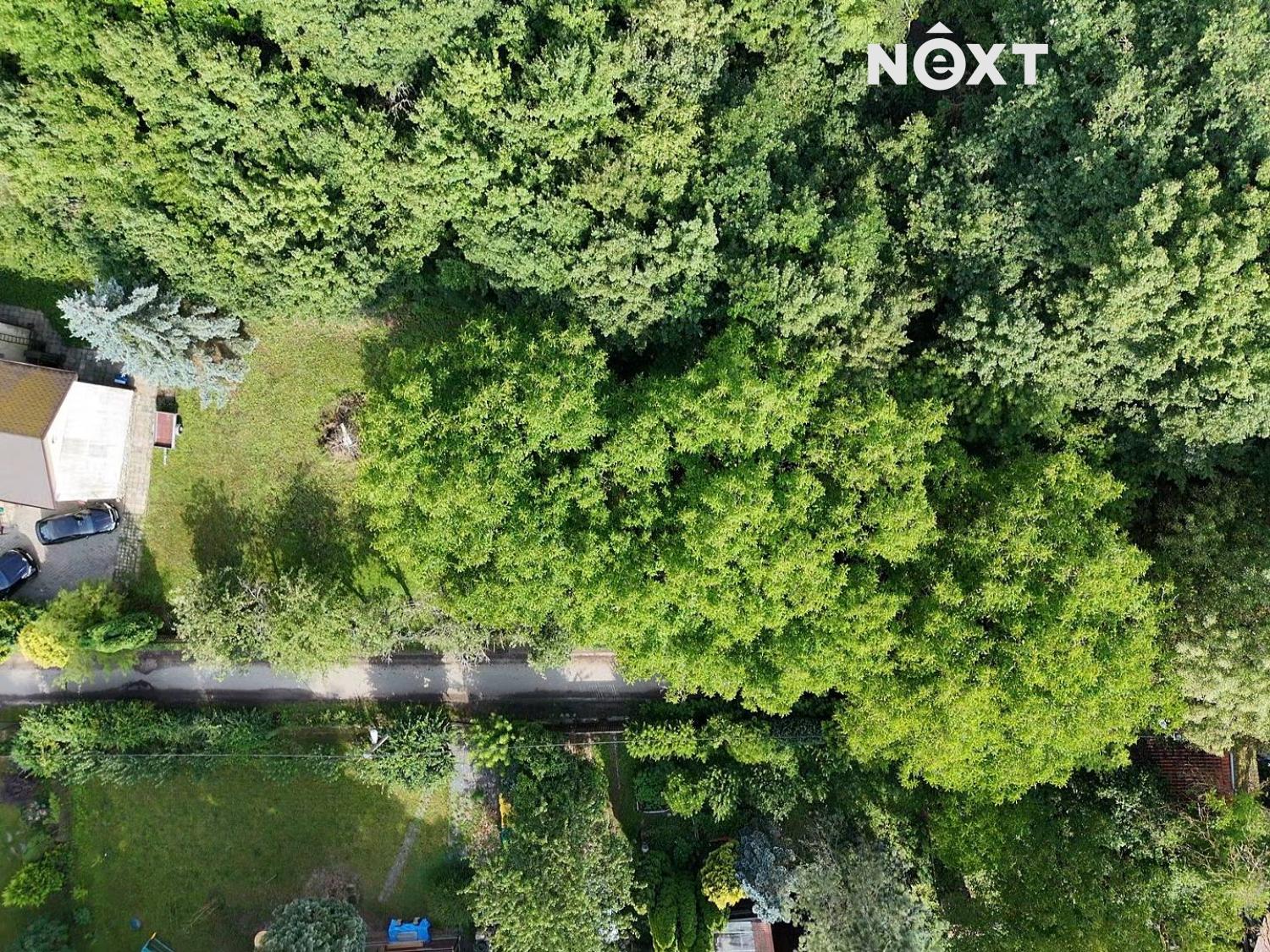 dji-fly-20250129-104145-0-1738143705308-photo-low-quality.1752662525.jpg