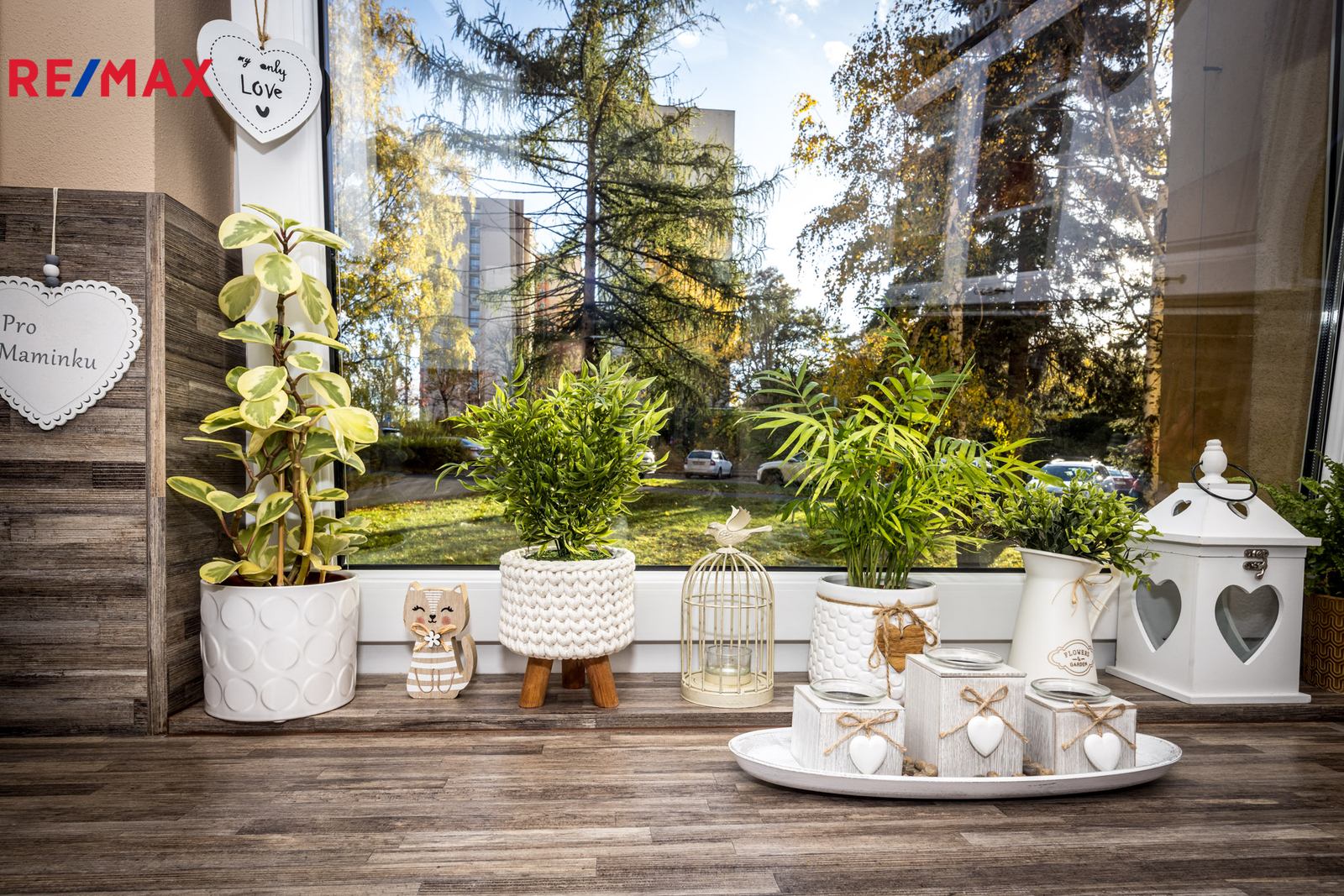 Příroda za i před oknem