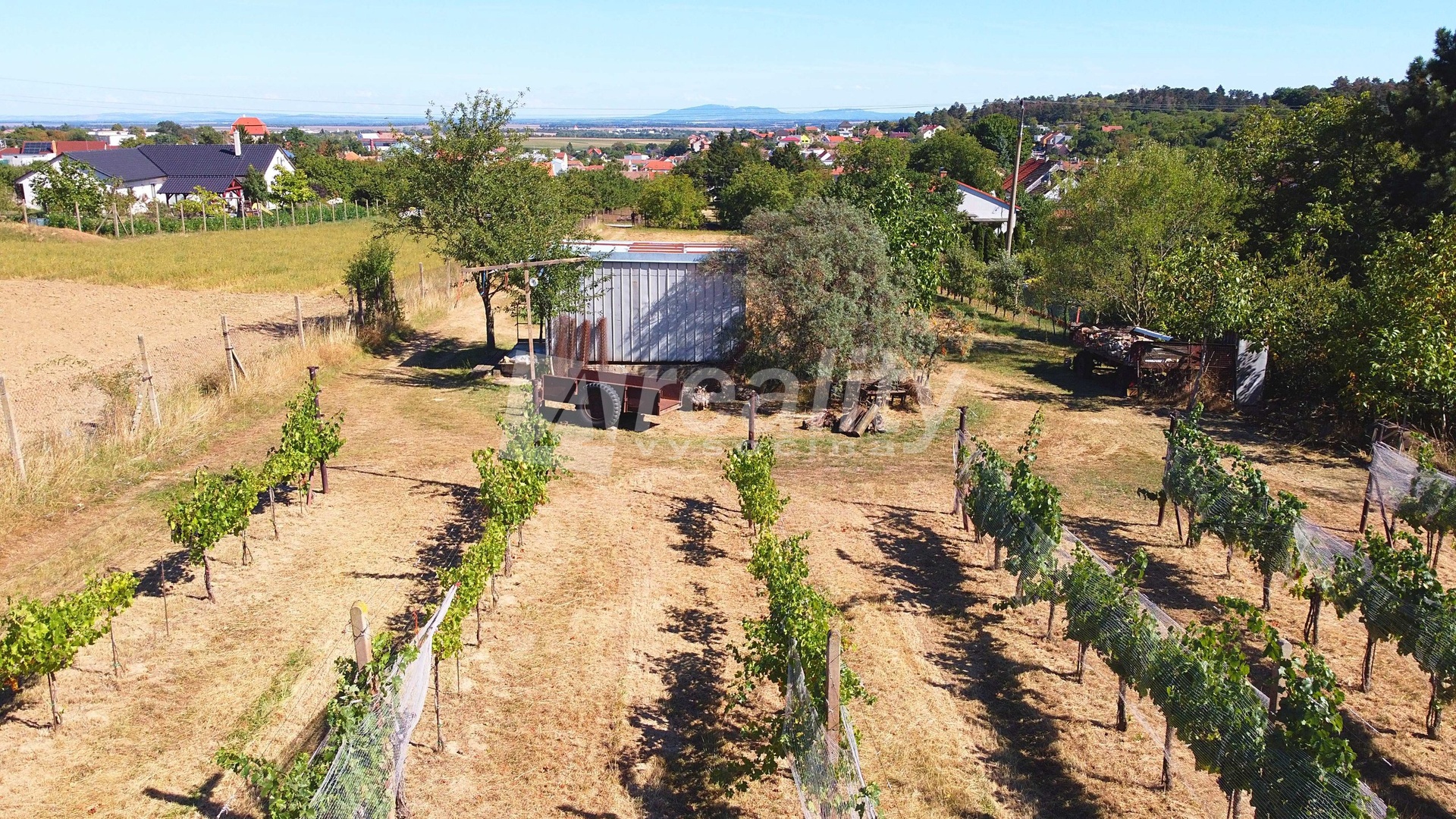 DJI_0251a