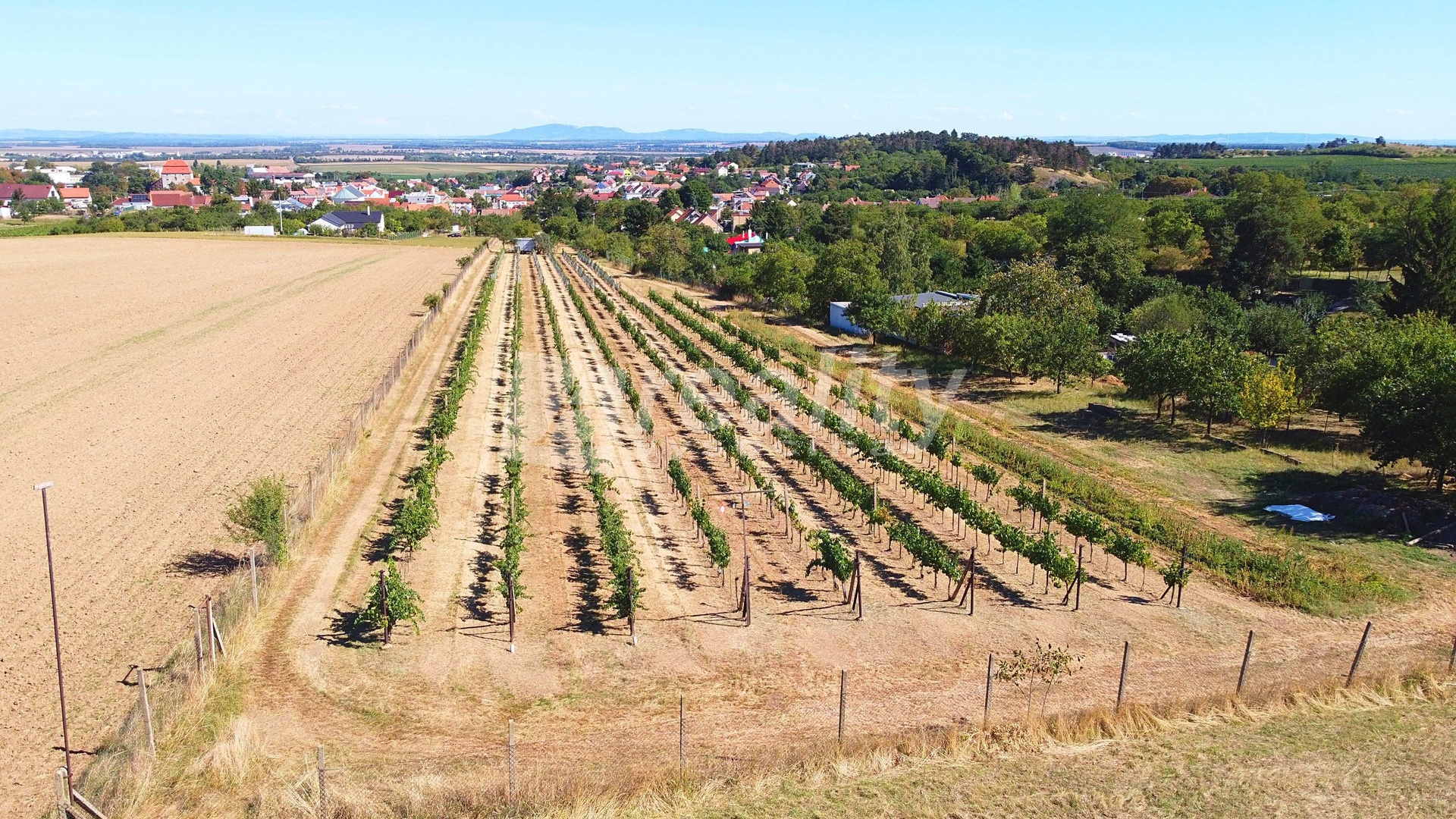 DJI_0245a
