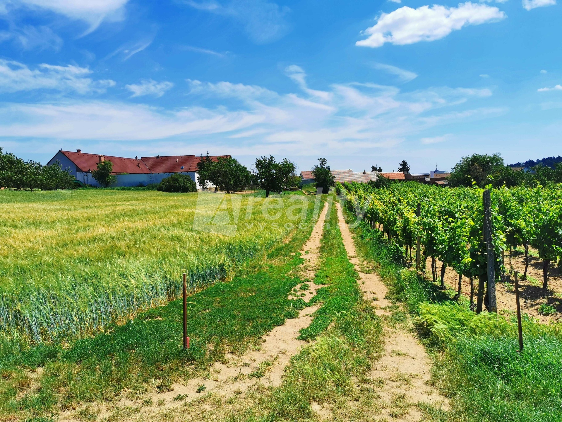 IMG_20220627_123753ab