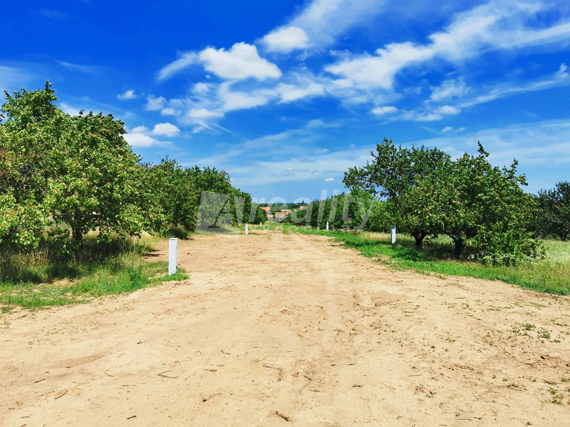 IMG_20220627_124004ab