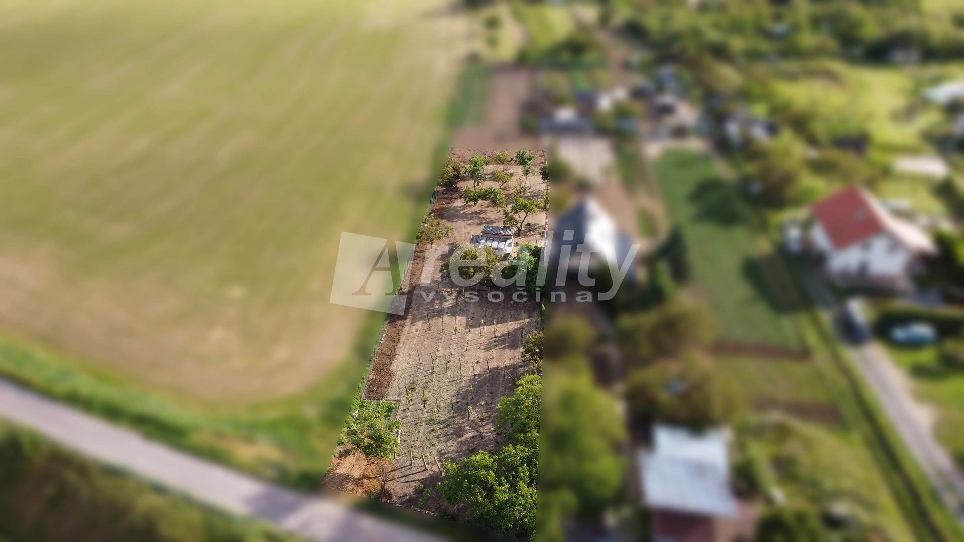 DJI_0960a