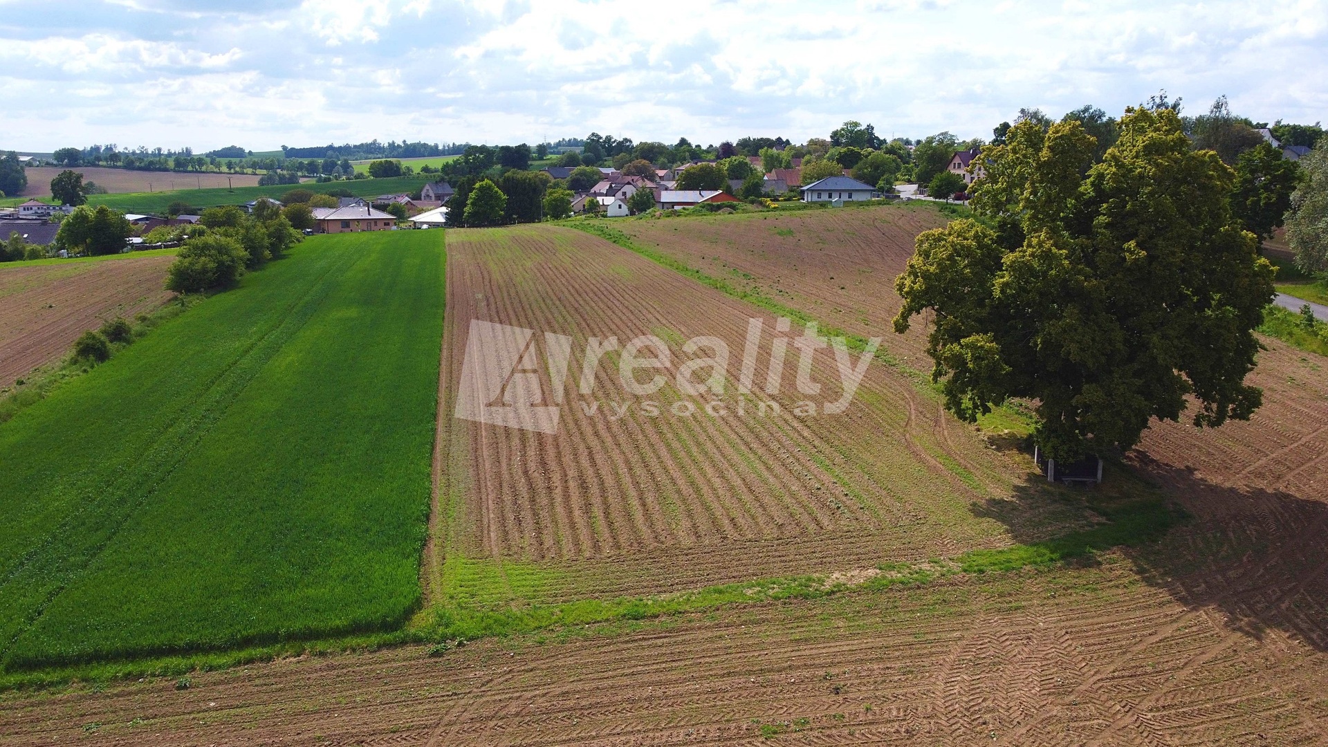 DJI_0999a