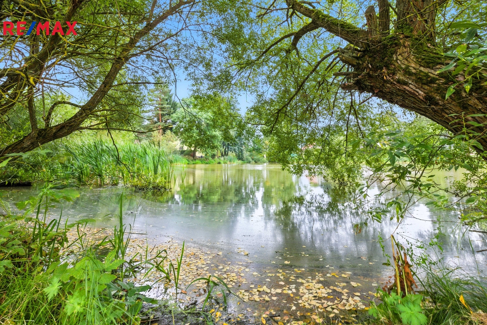 Výhled na rybník