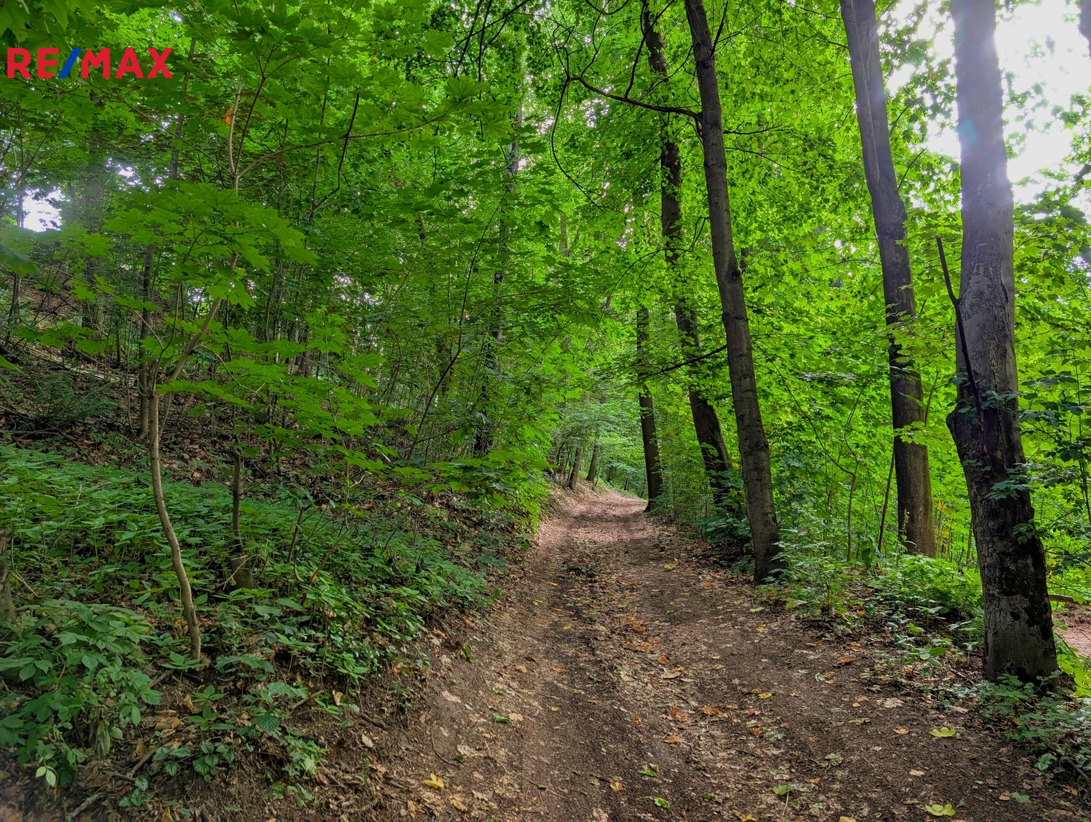 Příjezdová cesta