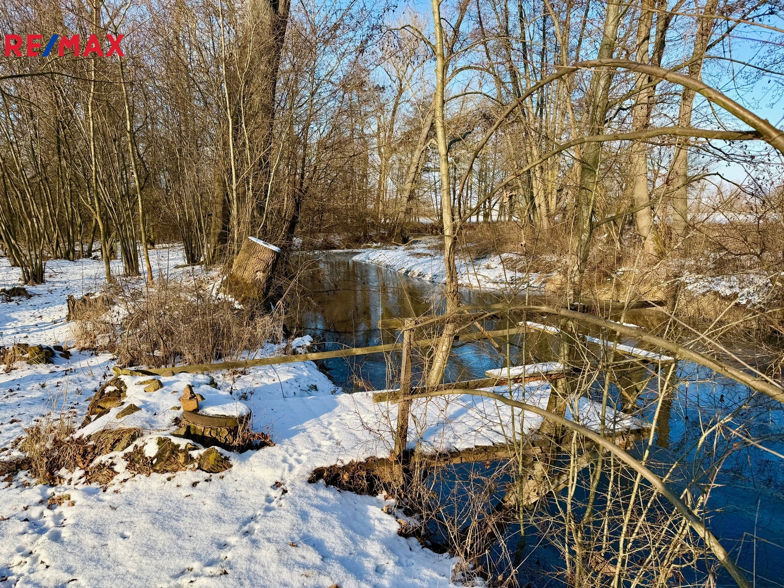 lesní pozemek je hned u řeky Loučné