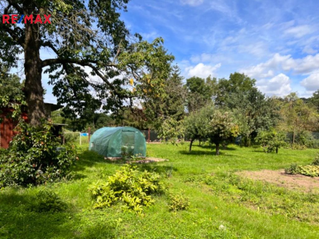 Letní foto zahrady od majitele