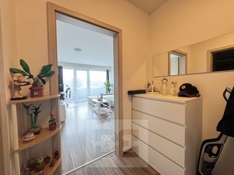 3A3BDBAD-687C-4A40-9F57-3C4A2D58380A_4_5005_c