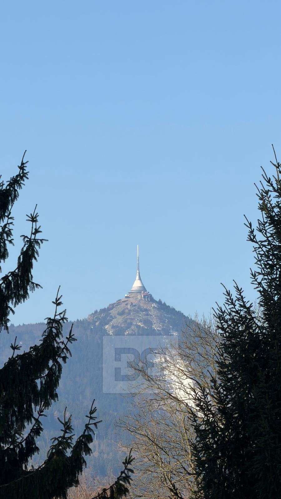 WhatsApp Image 2026-03-03 at 13.45.48