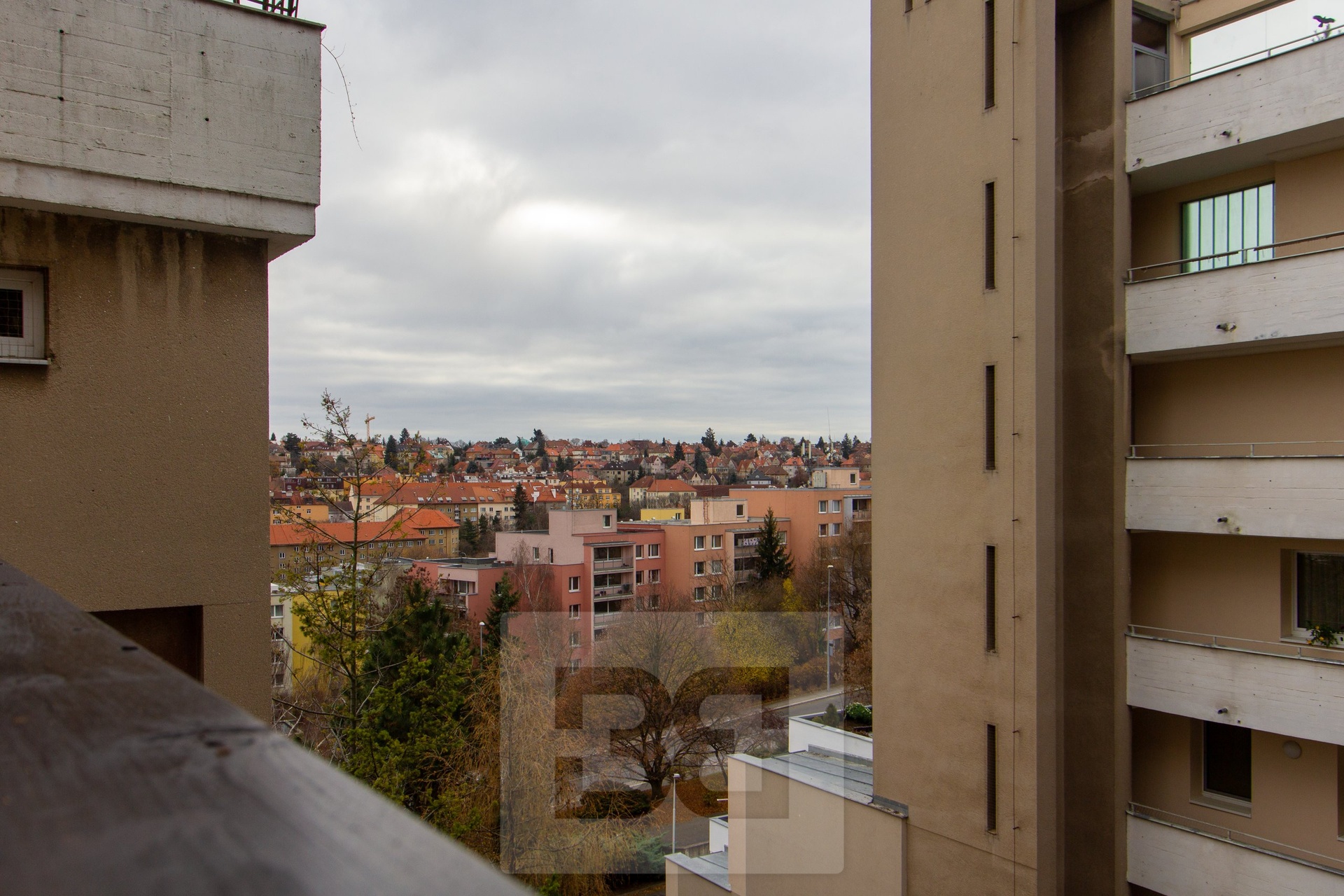_MG_4960