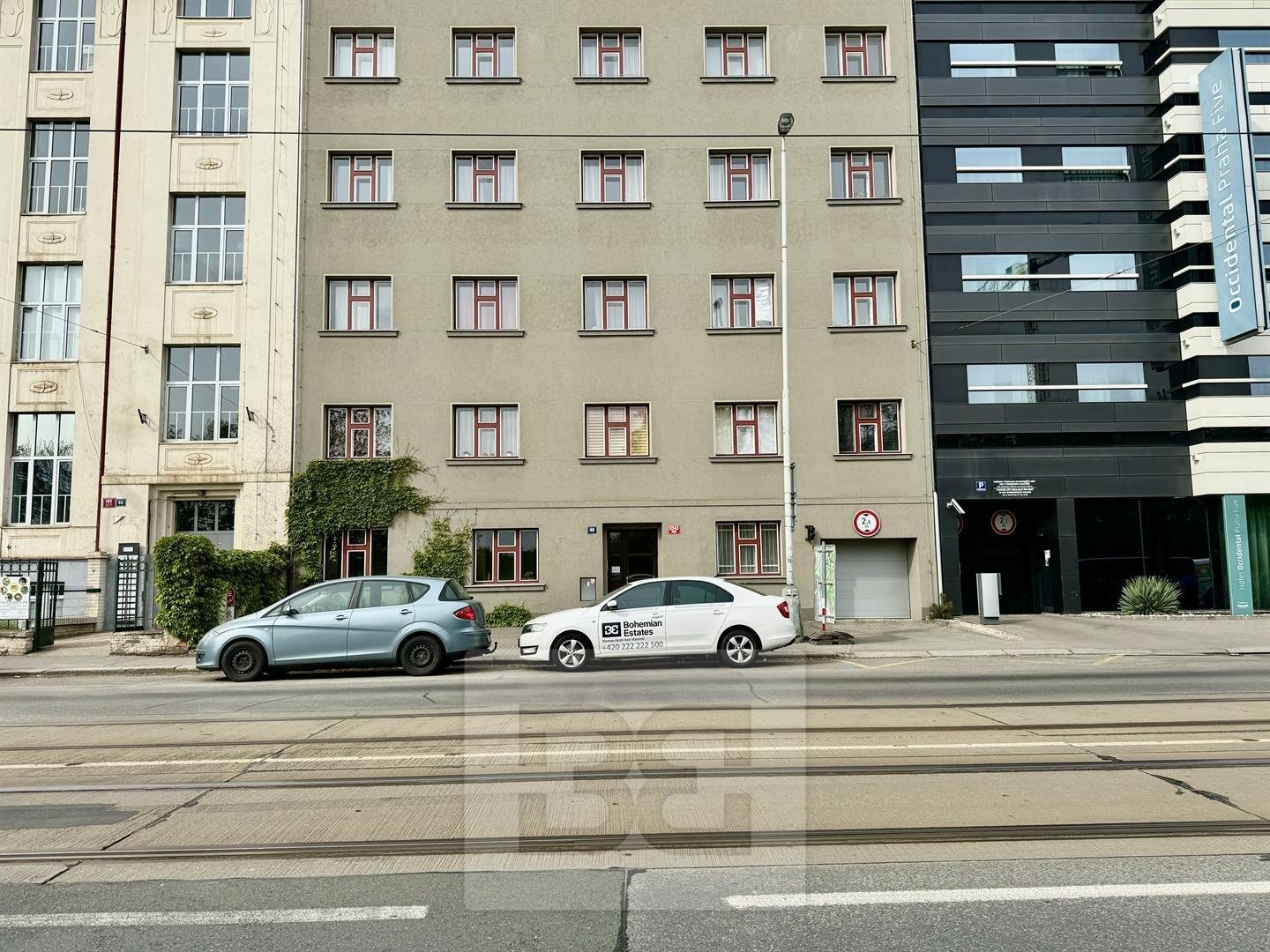 IMG_5012.jpeg