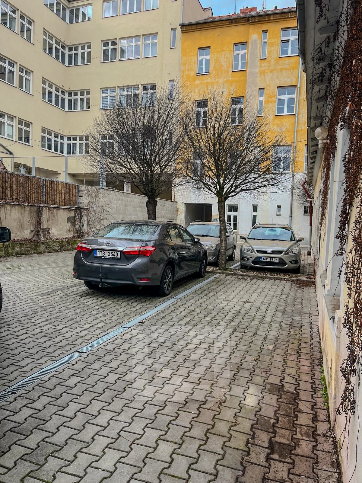 WhatsApp Image 2024-03-07 at 16.09.25