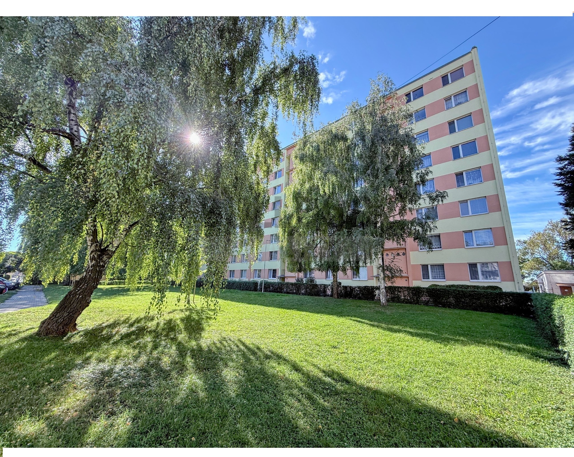 pohled na dům