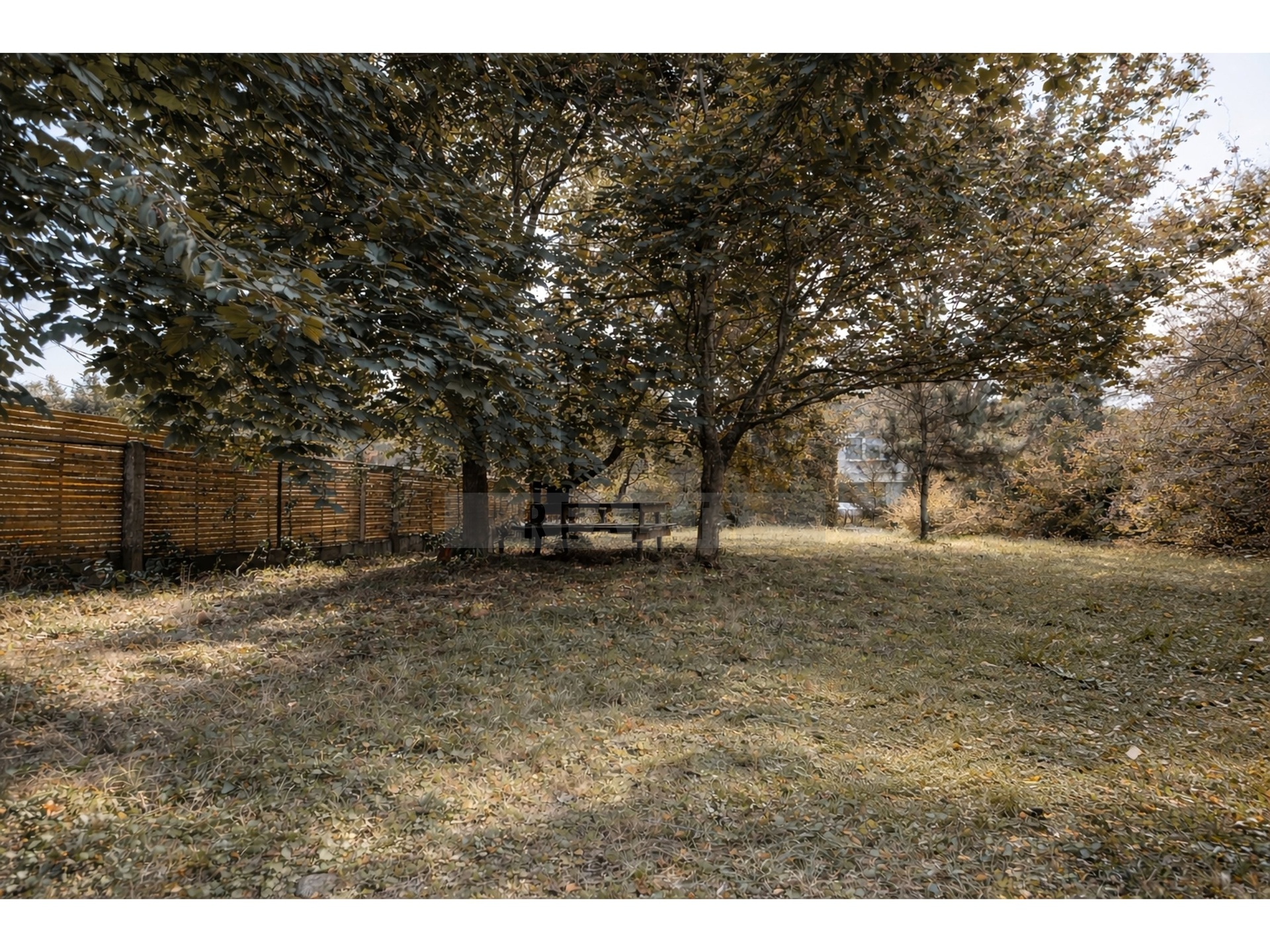 BE86A4DB-AE21-4041-B076-0A9A7CD40493_pro_realman